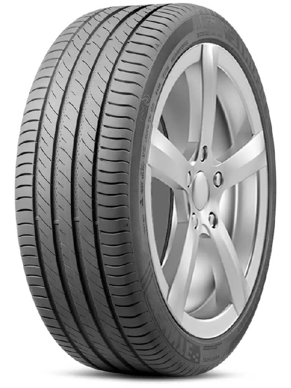 Delinte DS2 215/65 R16 102H