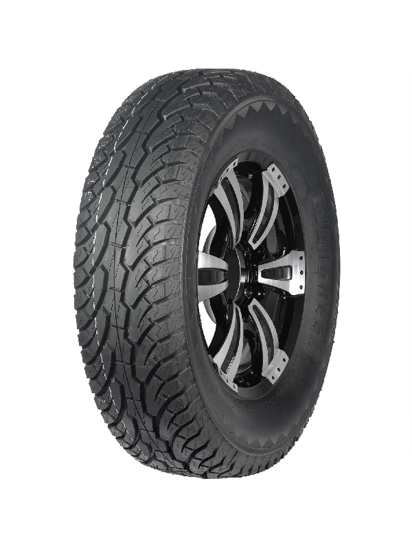 Evergreen ES89 215/75 R15 100/97R