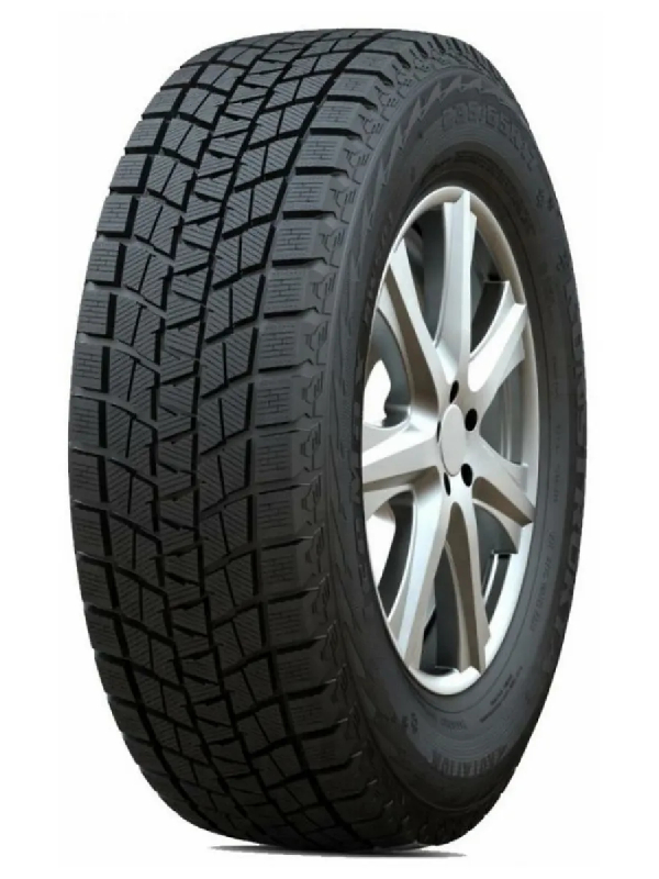 Kapsen IceMax RW501 205/55 R16 91H