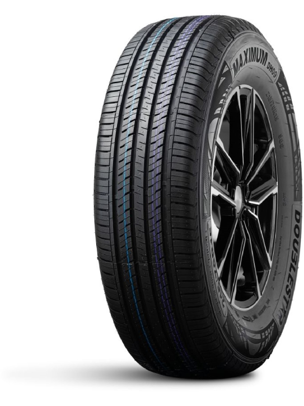 Doublestar Maximum DH09 205/65 R16 95H