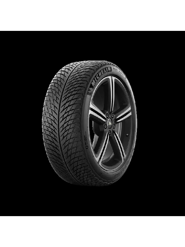 Michelin Pilot Alpin 5 315/35 R20 110V