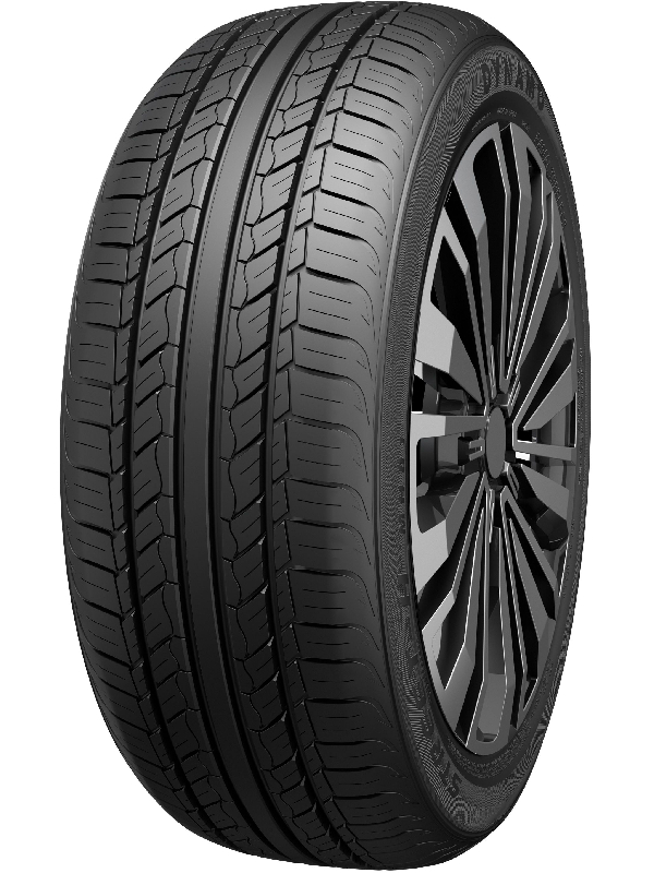 Dynamo Snow-H MWS01 225/55 R19 99H
