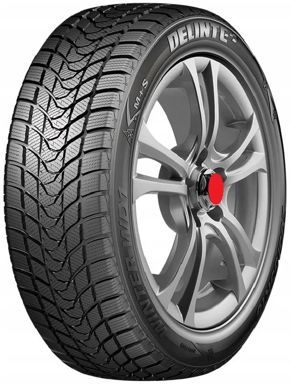 Delinte Winter WD1 195/60 R15 88H